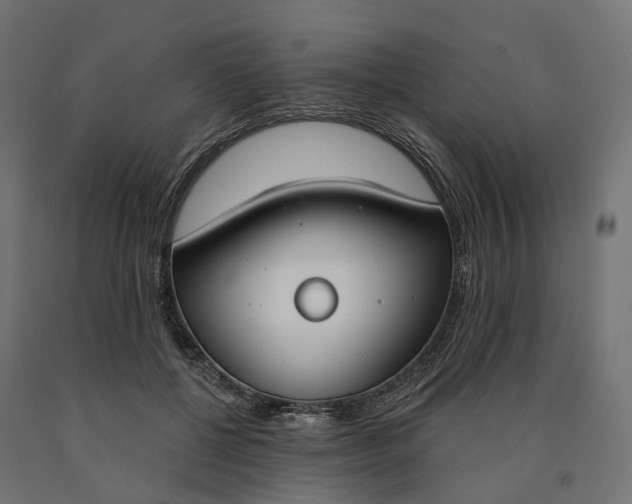 X0000090750552200708031610