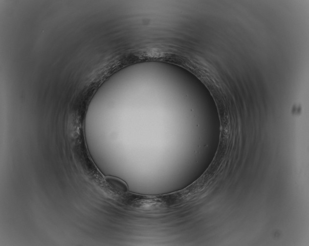 X0000090750555200708031610