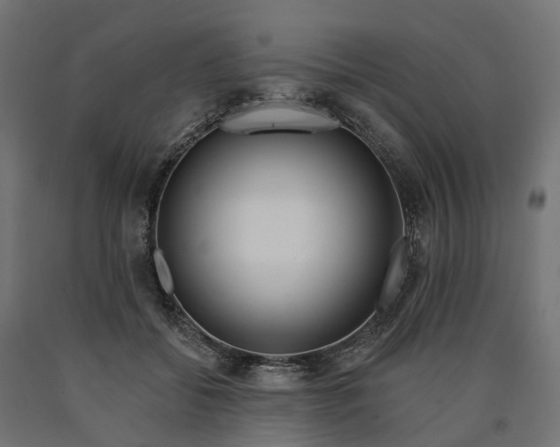 X0000090750556200708031610