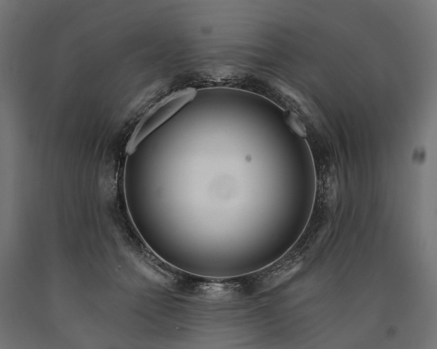 X0000090750558200708031610