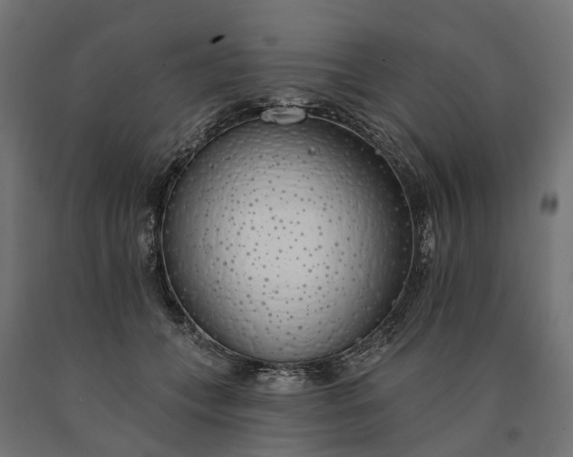 X0000090750559200708031610