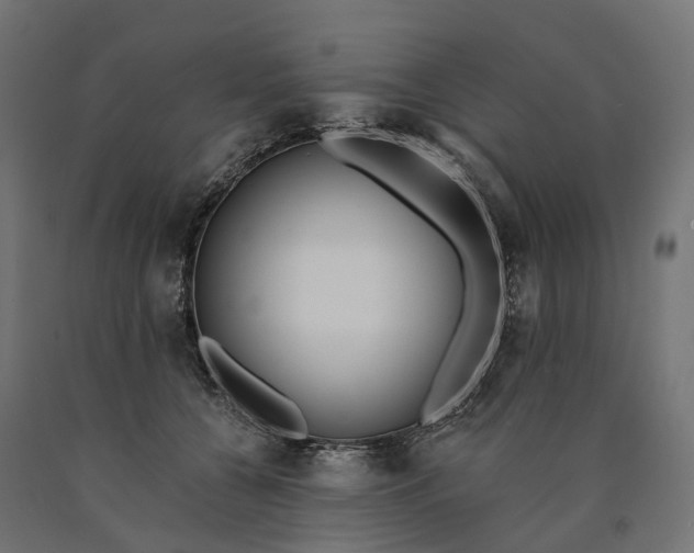 X0000090750560200708031611