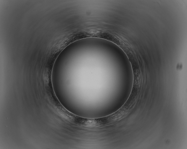 X0000090750562200708031611