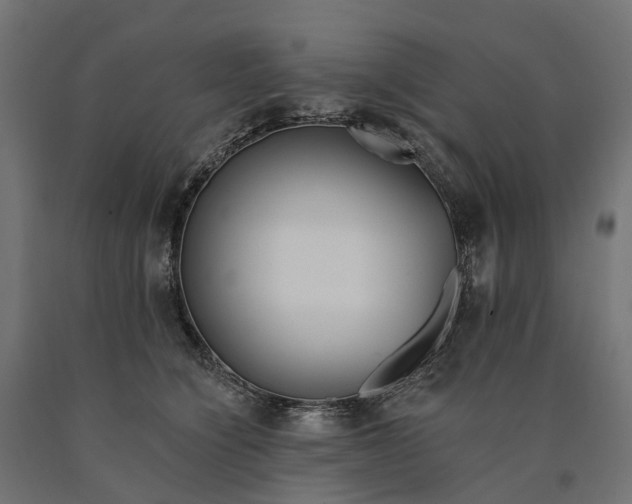 X0000090750564200708031611