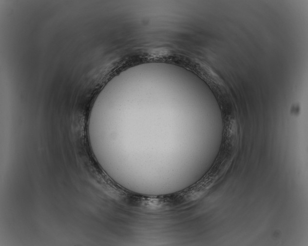 X0000090750565200708031611