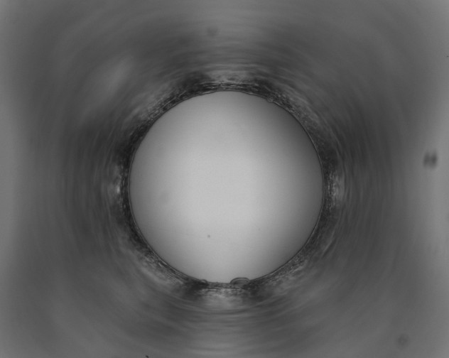 X0000090750567200708031611