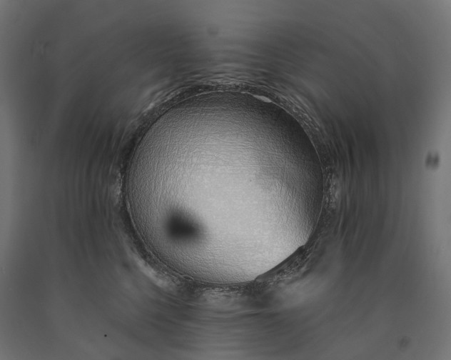 X0000090750568200708031611