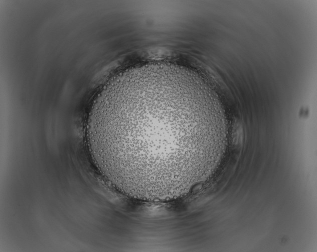 X0000090750569200708031611