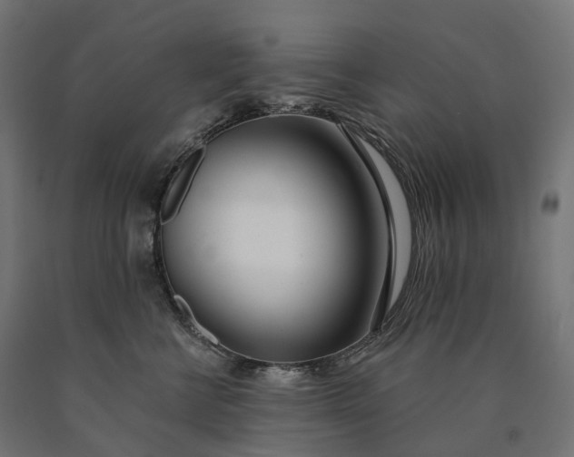 X0000090750570200708031611