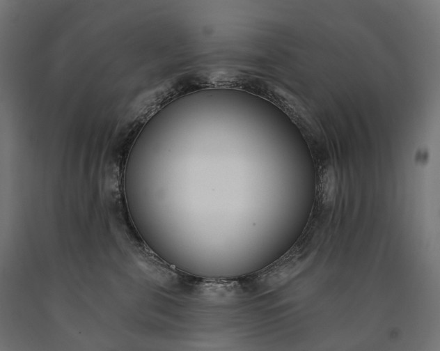 X0000090750571200708031611