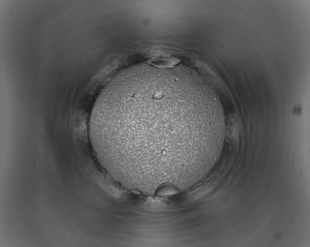 X0000090750573200708031611