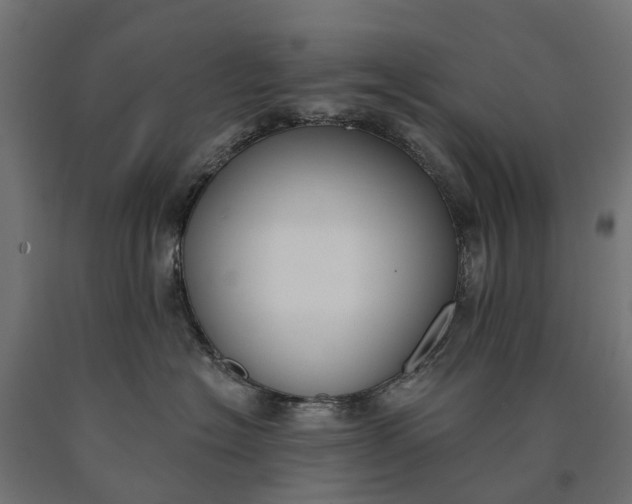 X0000090750574200708031611