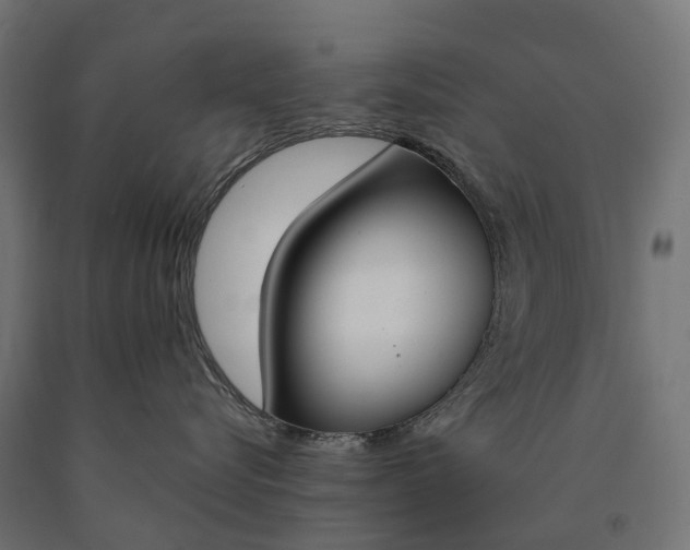 X0000090750576200708031611