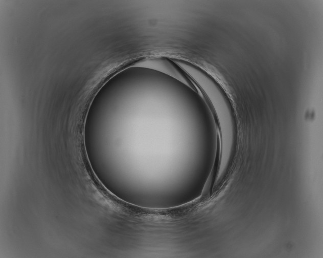 X0000090750577200708031610