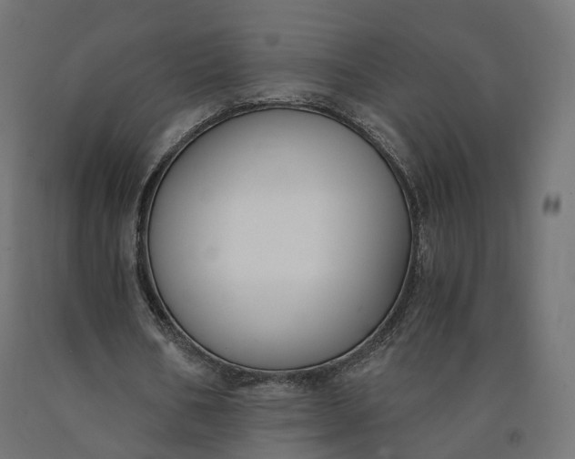 X0000090750578200708031610