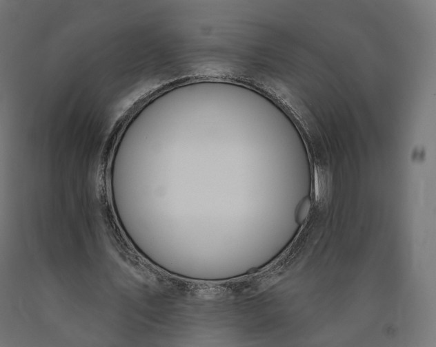 X0000090750579200708031610