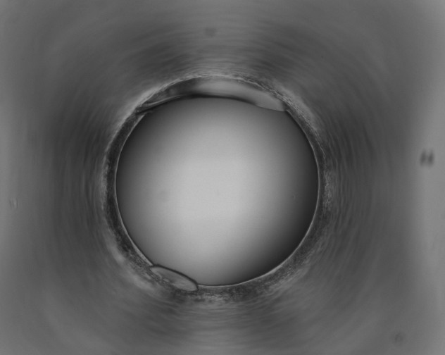 X0000090750580200708031610