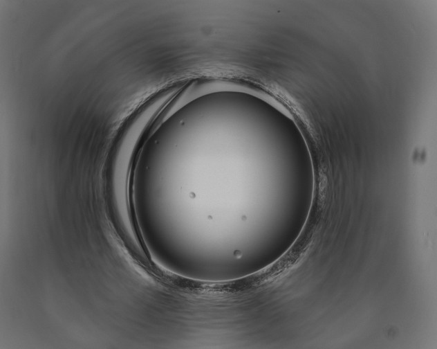 X0000090750581200708031610