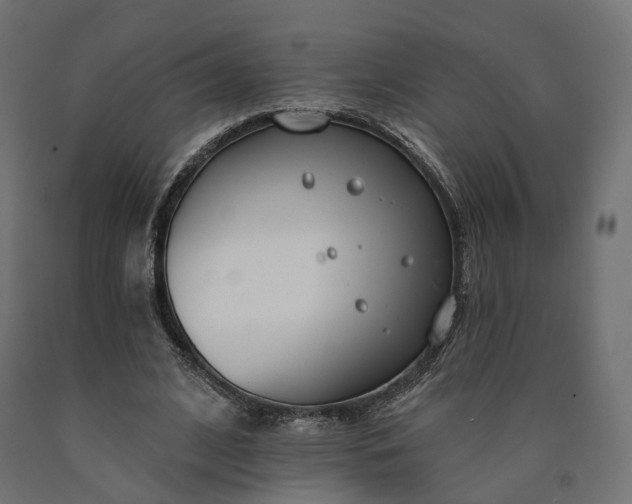 X0000090750584200708031610