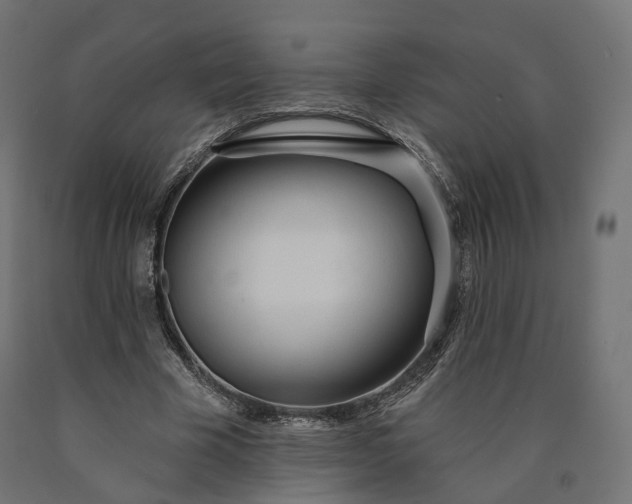 X0000090750585200708031610