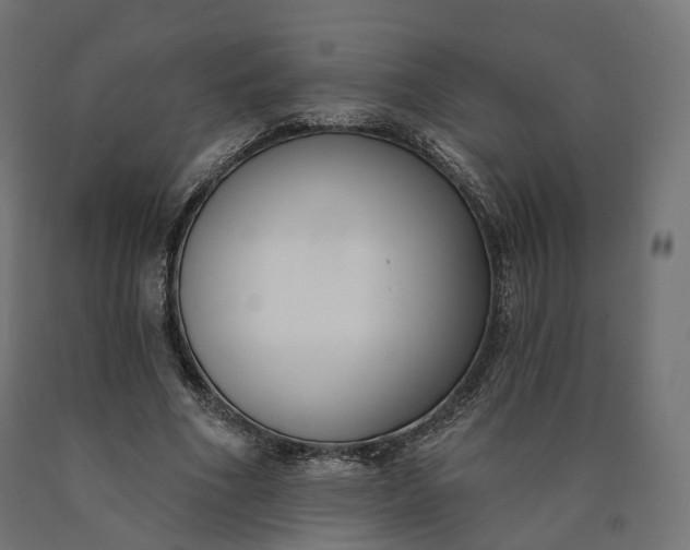 X0000090750586200708031610