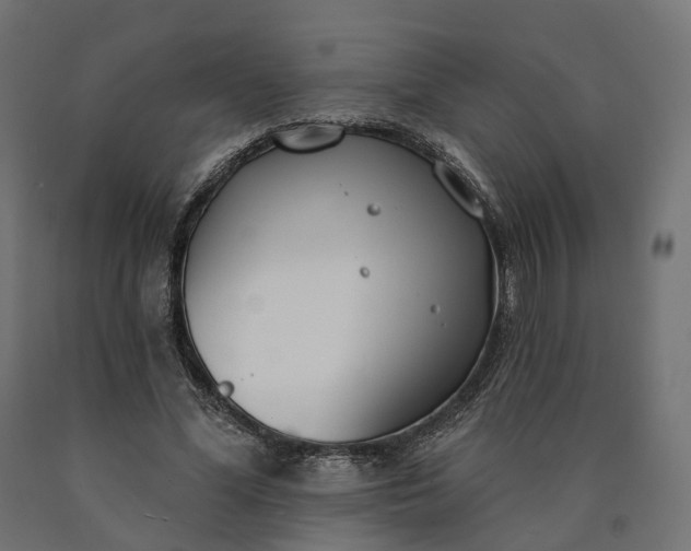 X0000090750588200708031610