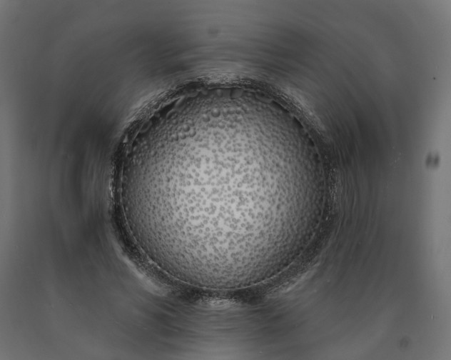 X0000090750590200708031610