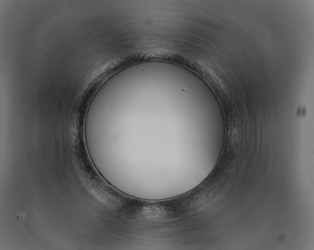 X0000090750591200708031610