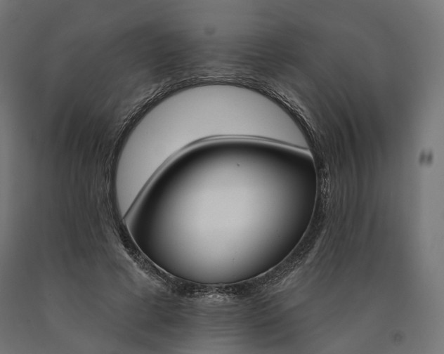 X0000090750593200708031610