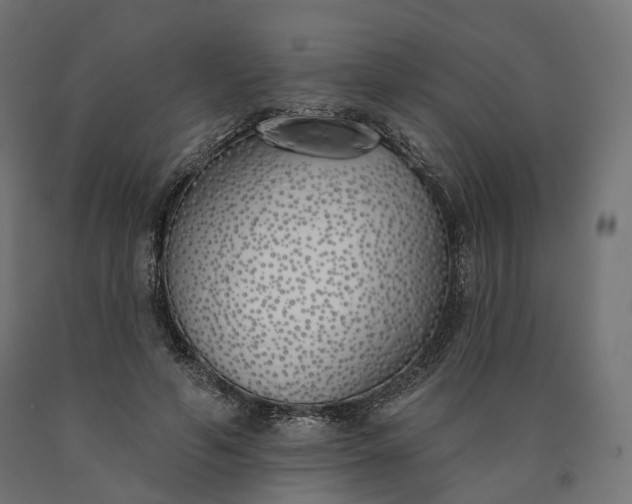 X0000090750594200708031610