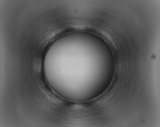 X0000090750596200708031610