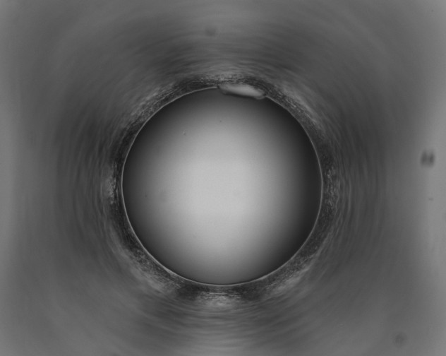 X0000090750597200708031610