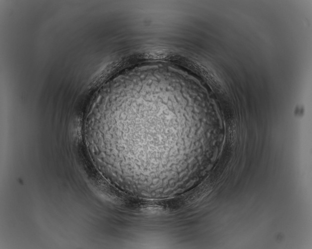 X0000090750598200708031610