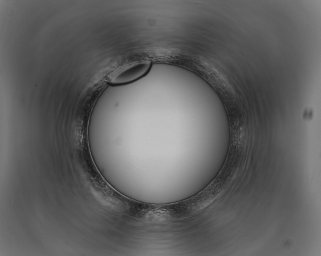 X0000090750599200708031610