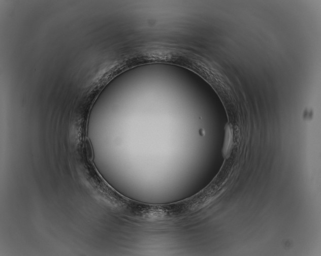 X0000090750600200708031610