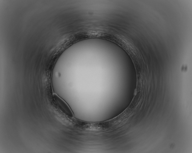 X0000090750601200708031610