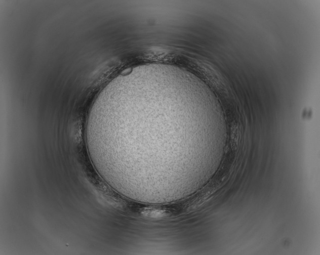 X0000090750602200708031610