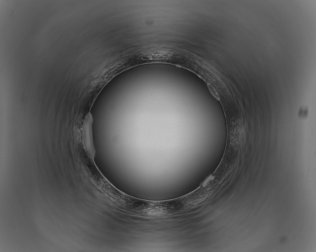 X0000090750604200708031610