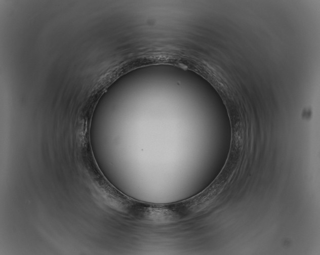 X0000090750605200708031610