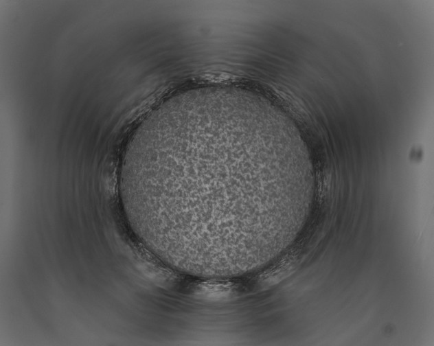 X0000090750606200708031609