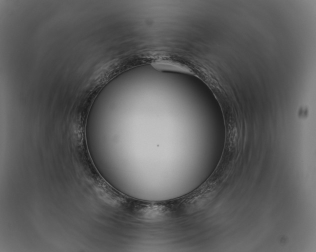 X0000090750609200708031609