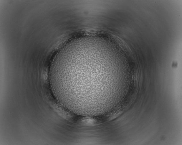 X0000090750610200708031609