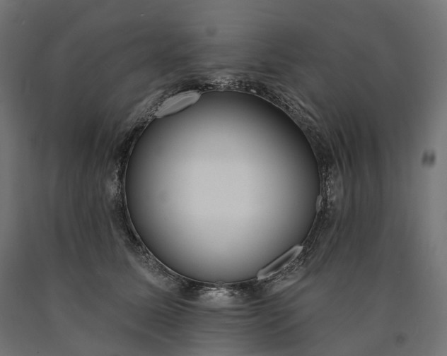 X0000090750611200708031609