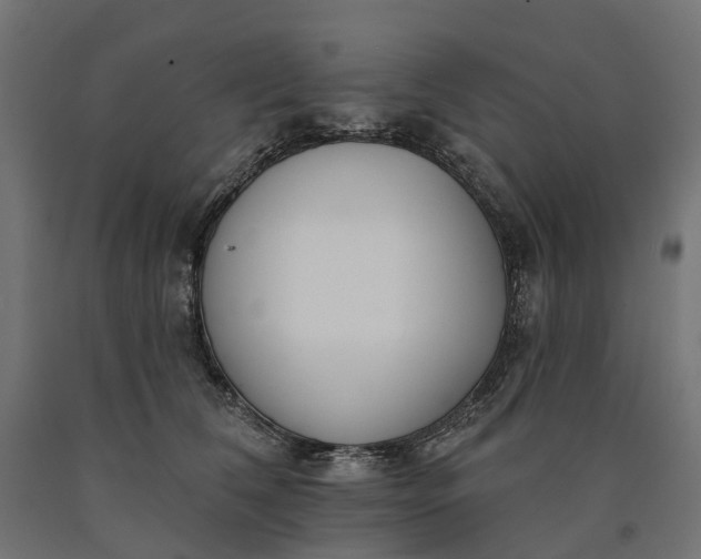 X0000090750612200708031609