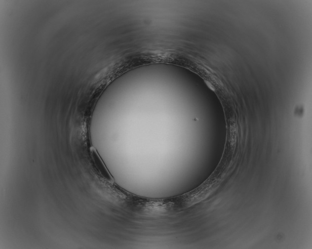 X0000090750613200708031609