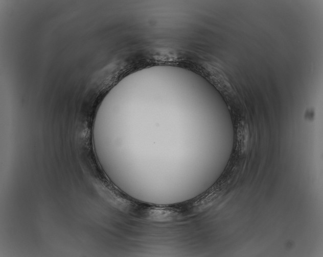 X0000090750614200708031609