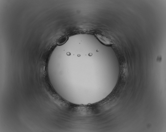 X0000090750615200708031609