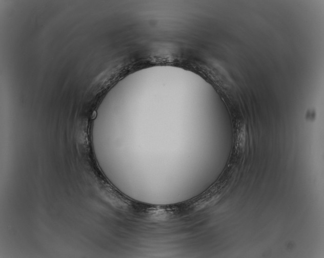 X0000090750616200708031609