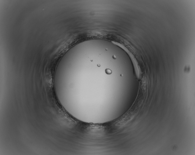 X0000090750617200708031609