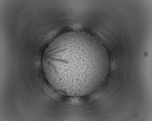 X0000090750618200708031609